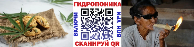 как найти закладки  Ардатов  Cannafood конопля 