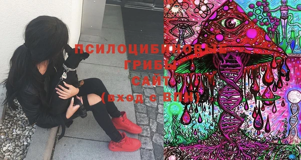 2c-b Сафоново