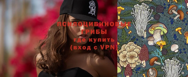 МДПВ Алексеевка