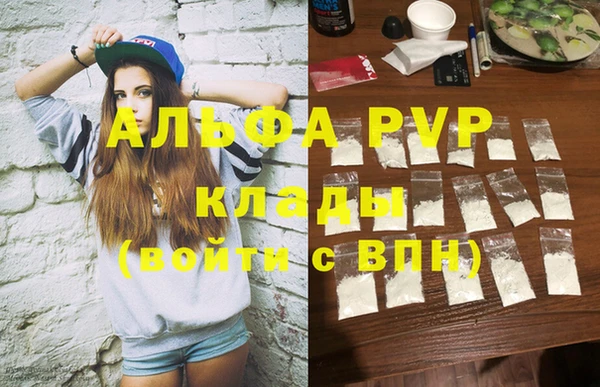 крисы Алзамай