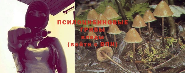 прущие грибы Сатка